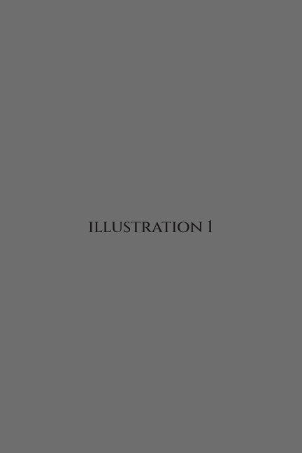 Illustration 01