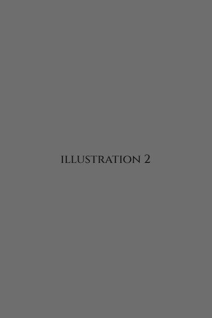 Illustration 02