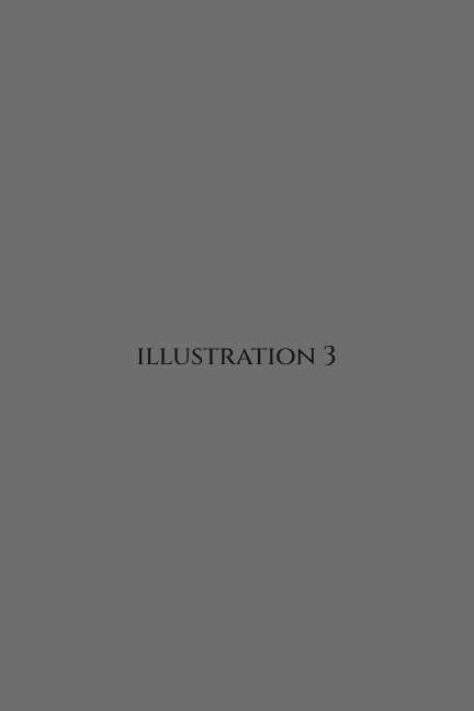 Illustration 03