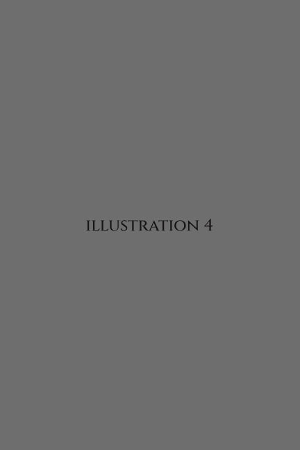 Illustration 04